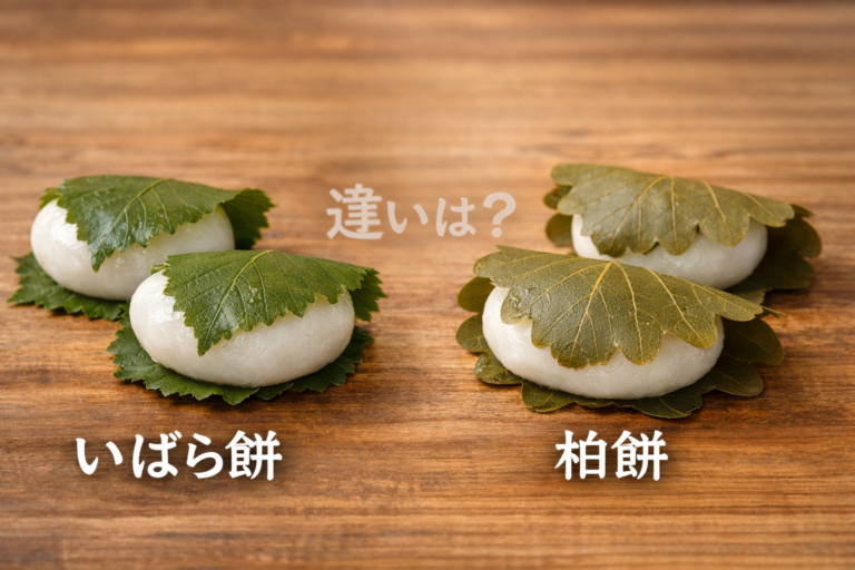 いばら餅と柏餅の違いは？葉・意味・地域の違いを分かりやすく解説